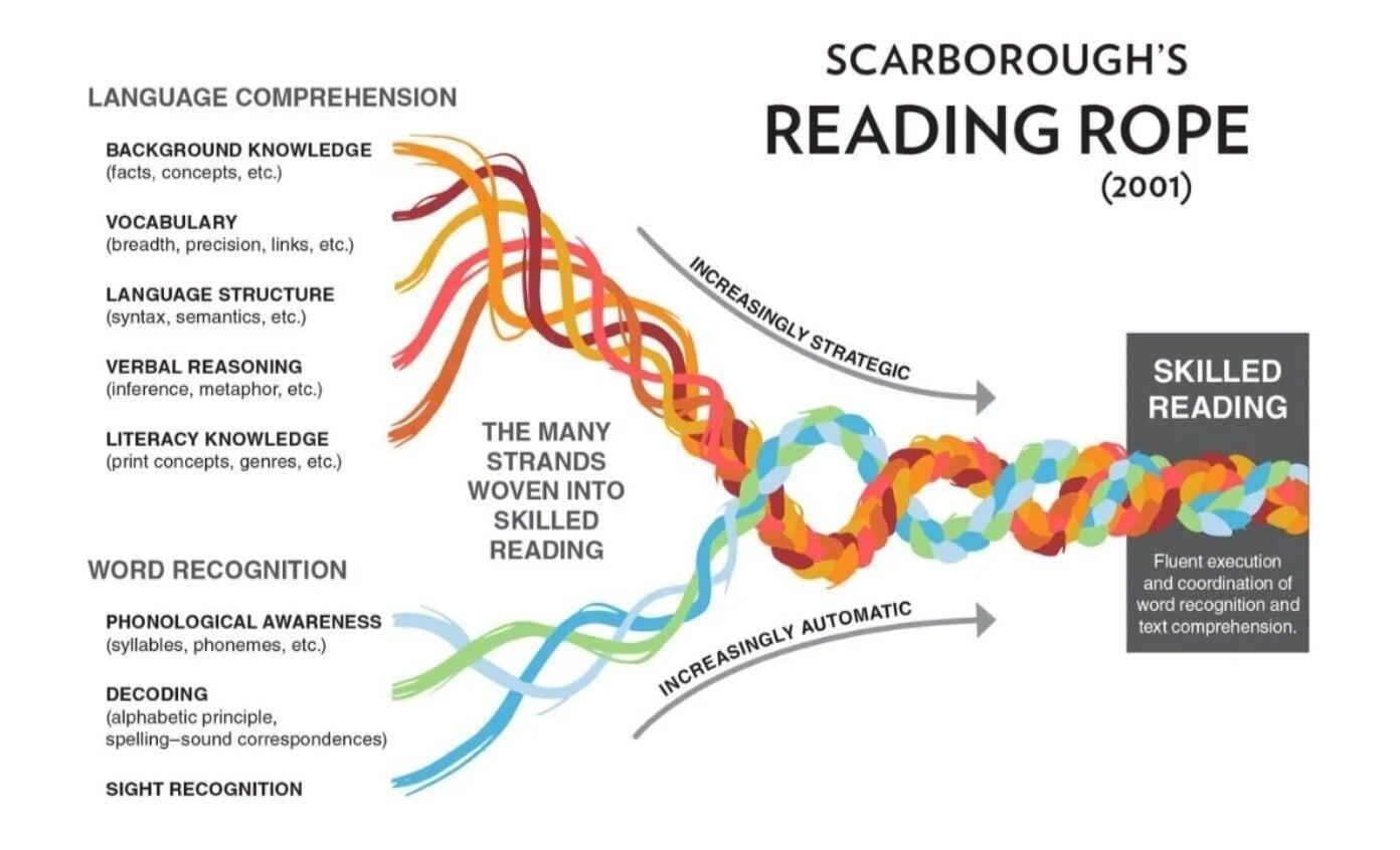 From Uncertainty to Confidence: How Science-Based Teaching Transforms Reading Instruction